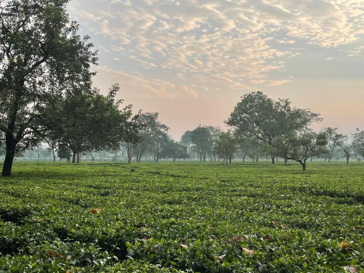 Tea Resort Saraswatipur Shaugaon エクステリア 写真